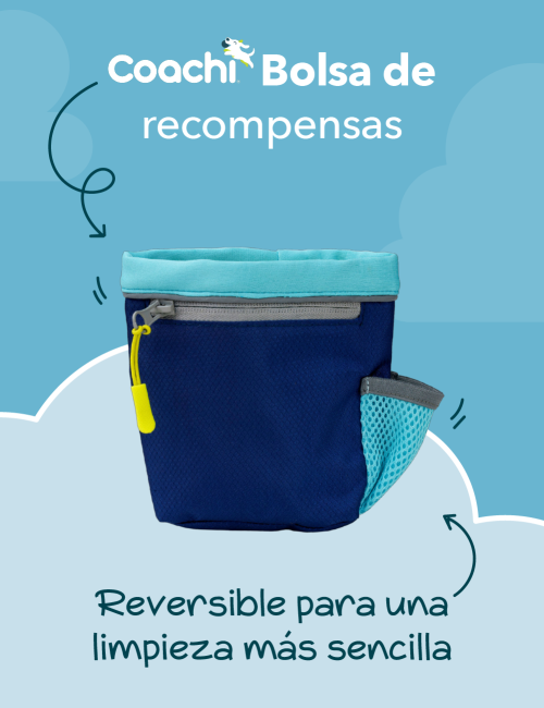 COACHI TRAIN & TREAT BAG AZUL OSCURO/AZUL CLARO