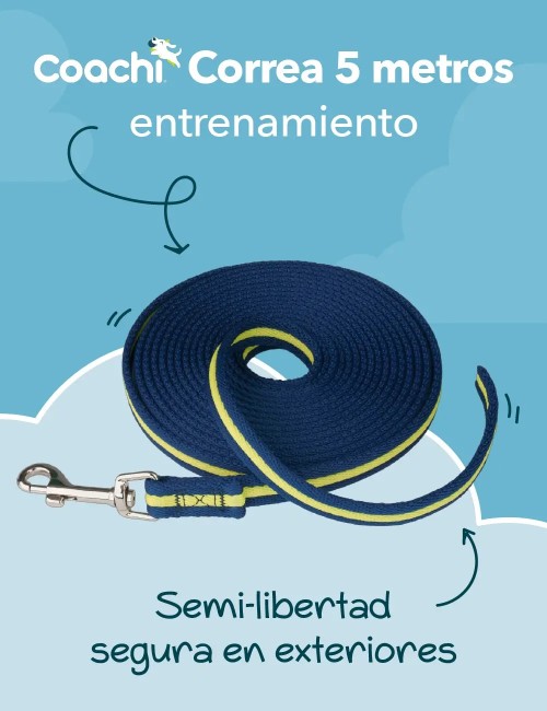 COACHI TRAINING LINE 5M AZUL/LIMA