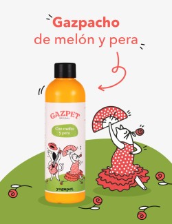 YOGUPET GAZPET MELON PERA 250ML