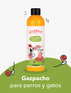 YOGUPET GAZPET MELON PERA 250ML