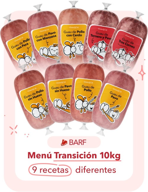 Menú TRANSICIÓN Crudo 10kg
