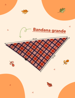 BANDANA PARA PELUDOS CHAPERROS  GRANDE