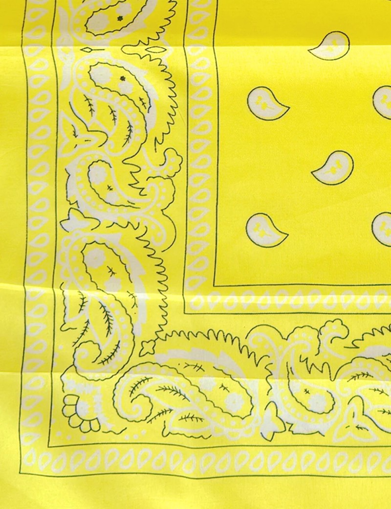 Bandana grande para peludos