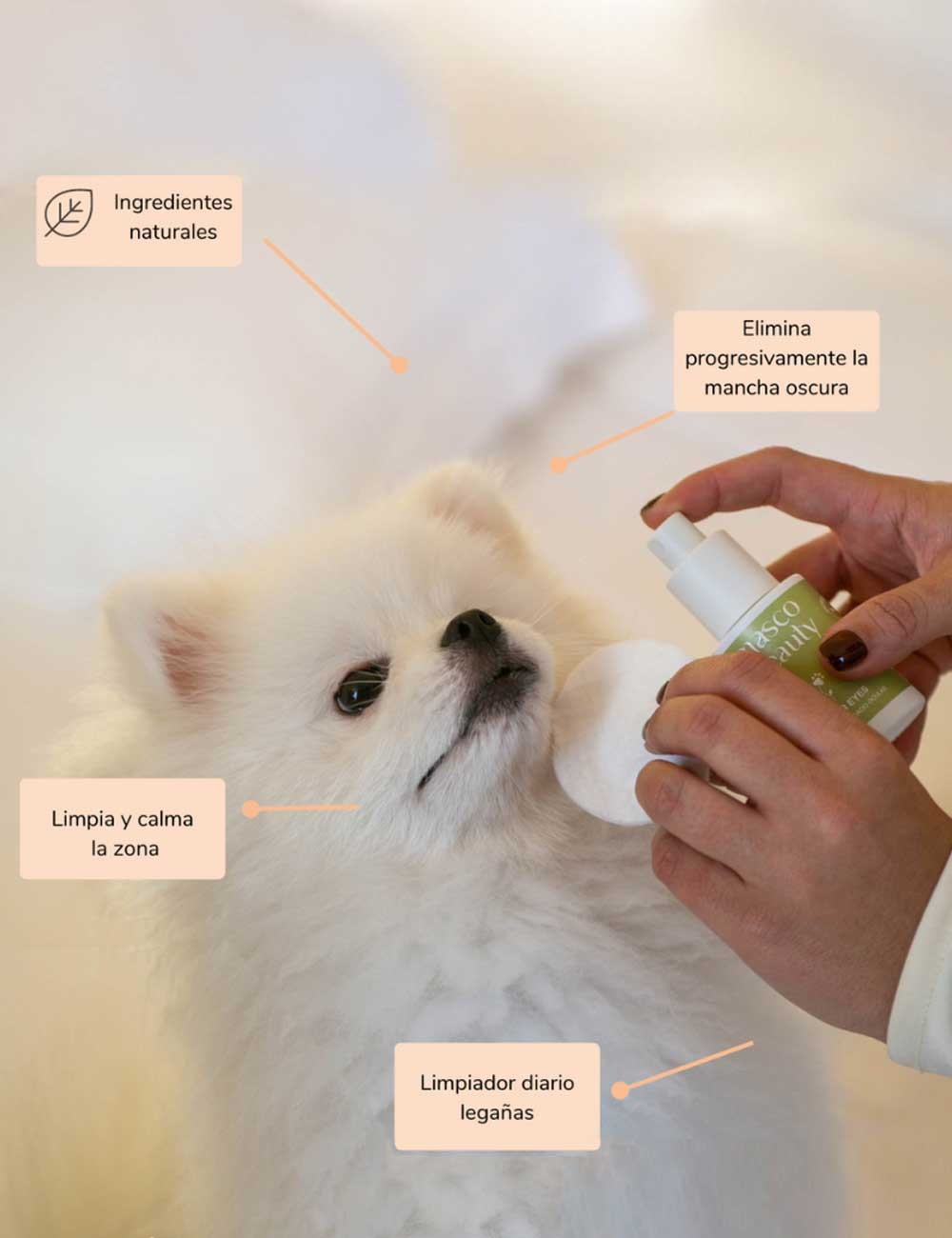 MASCO BEAUTY LIMPIADOR OCULAR POWER EYES GUAU AND CAT - 2 MASCO BEAUTY LIMPIADOR OCULAR POWER EYES GUAU AND CAT - 2