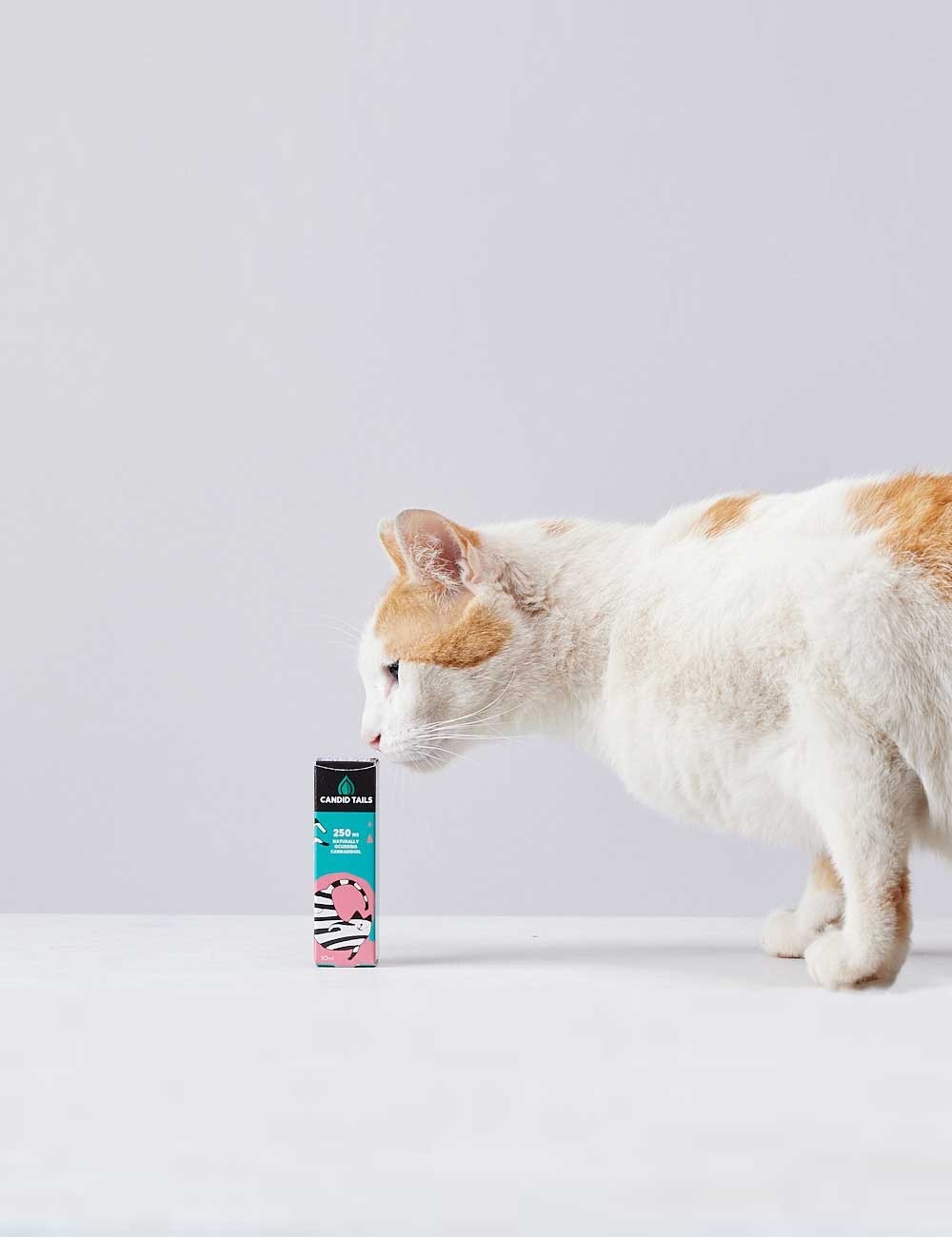 CANDIDTAILS ACEITE DE SALMON Y CAÑAMO CON CBD PARA GATOS 250MG