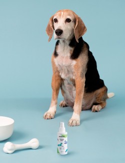 ANIMALLY RELAXPET SPRAY 125ML