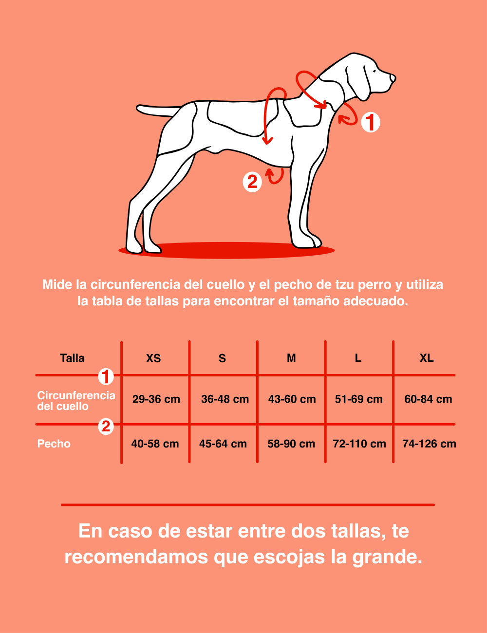 NON-STOP DOGWEAR RAMBLE HARNESS NEGRO/NARANJA