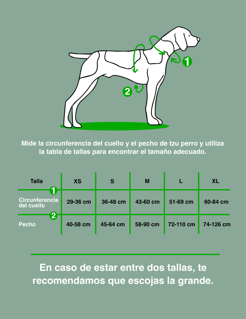 Non-stop Dogwear Ramble Geschirr - Hundegeschirr Mit 3 Leinenpunkten