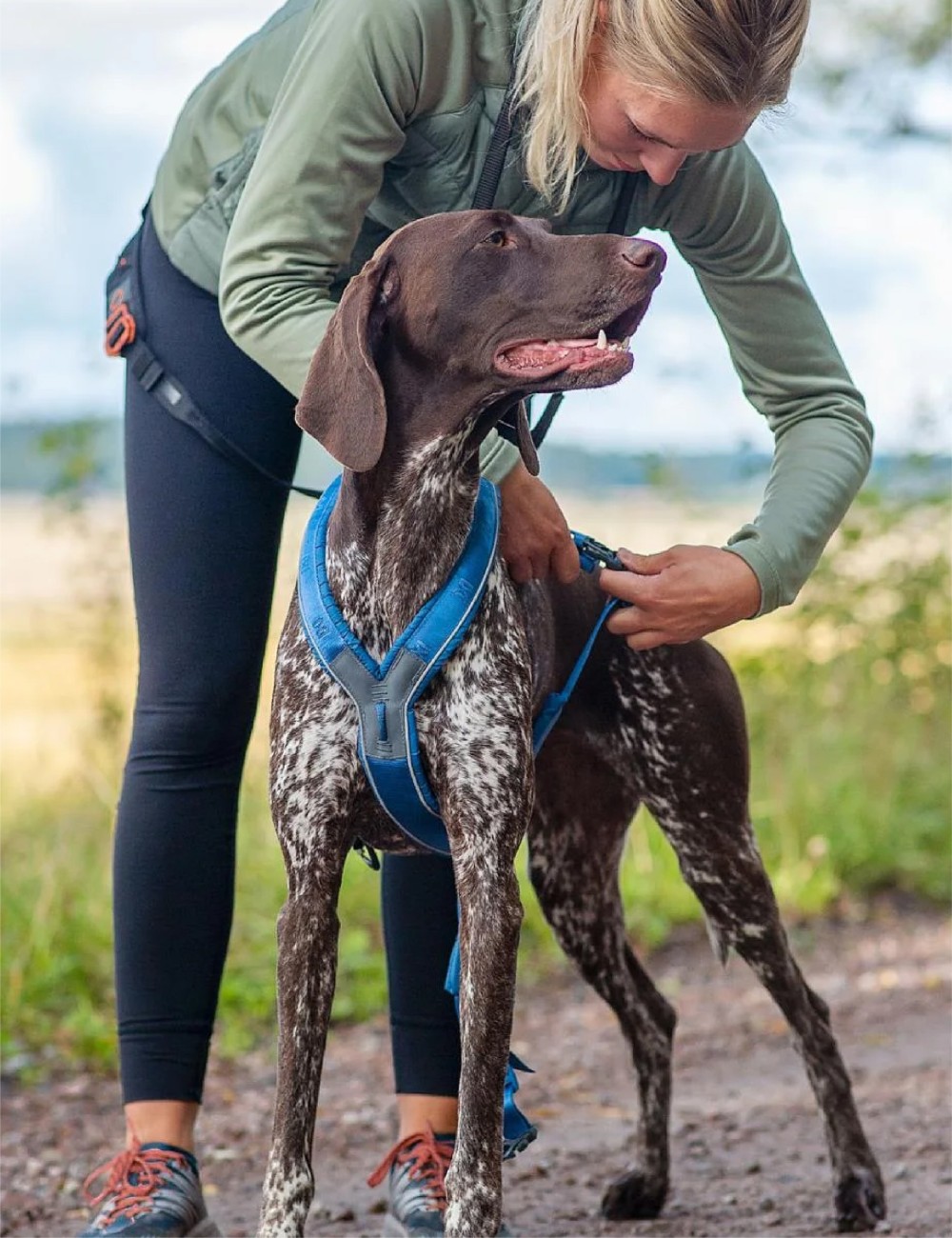 NON-STOP DOGWEAR LINE HARNESS 5.0 AZUL