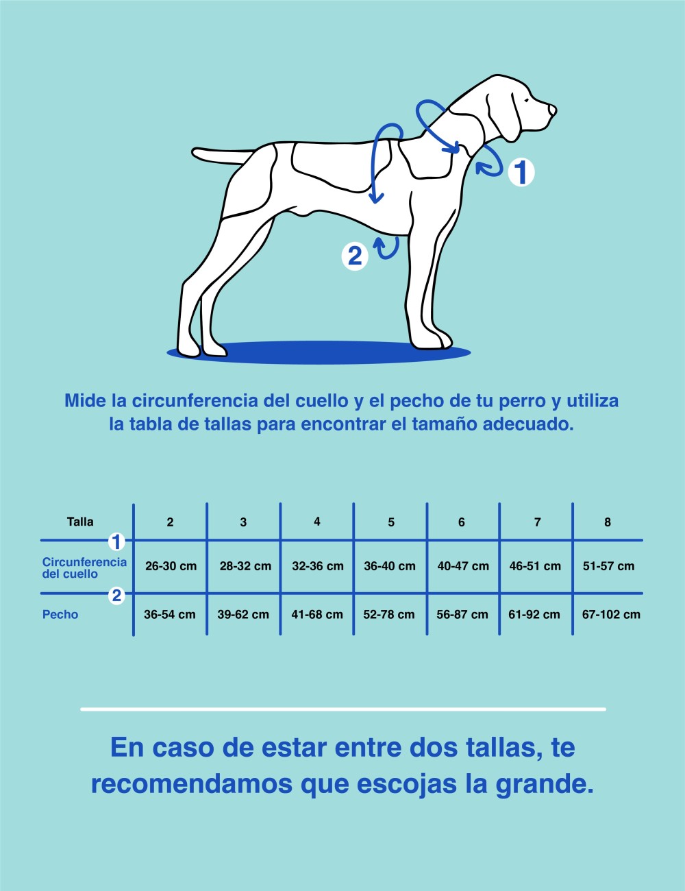 NON-STOP DOGWEAR LINE HARNESS 5.0 AZUL