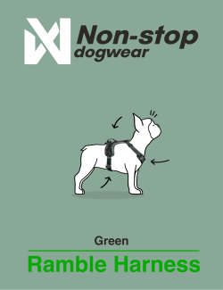 NON-STOP DOGWEAR RAMBLE HARNESS VERDE