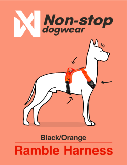 NON-STOP DOGWEAR RAMBLE HARNESS NEGRO/NARANJA