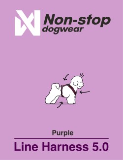 NON-STOP DOGWEAR LINE HARNESS 5.0 MORADO