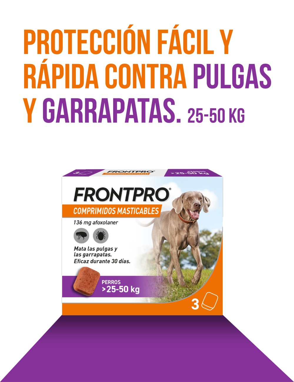 FRONTPRO MASTICABLE 136MG 25-50KG XL 3CP