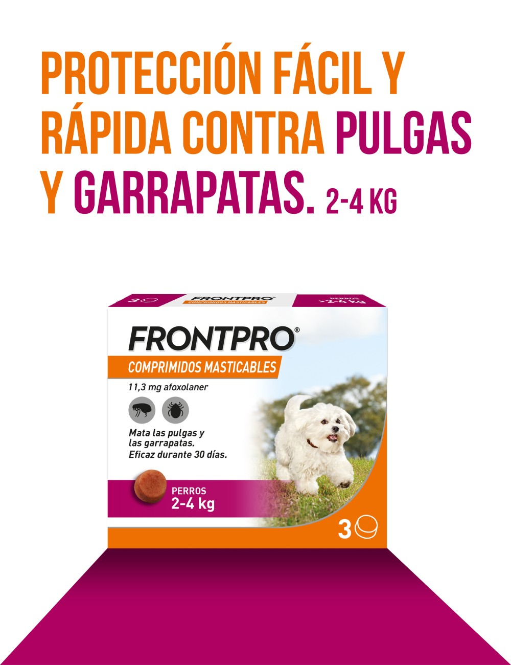 FRONTPRO MASTICABLE 11MG 2-4KG S 3CP