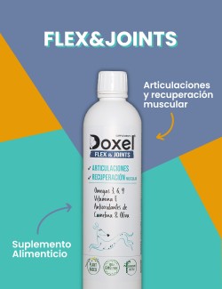 DOXEL ACEITE FLEX&JOINTS