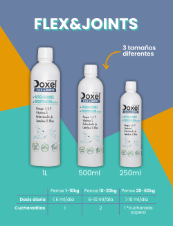 DOXEL ACEITE FLEX&JOINTS