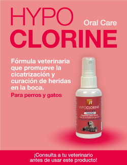 DESINFECTANTE BUCAL HYPOCLORINE ORAL CARE 60ML (BACTERICIDA, FUNGICIDA,VIRICIDA) JTPHARMA