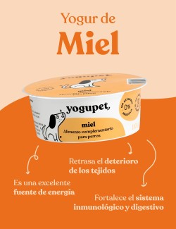 YOGUPET MIEL DOG