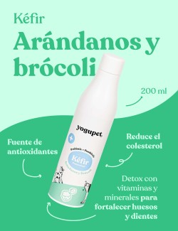 KEFIR BRÓCOLI ARÁNDANOS 200ML Yogupet