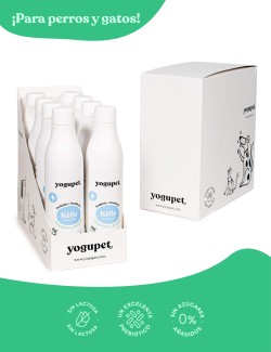 KEFIR BRÓCOLI ARÁNDANOS 200ML Yogupet