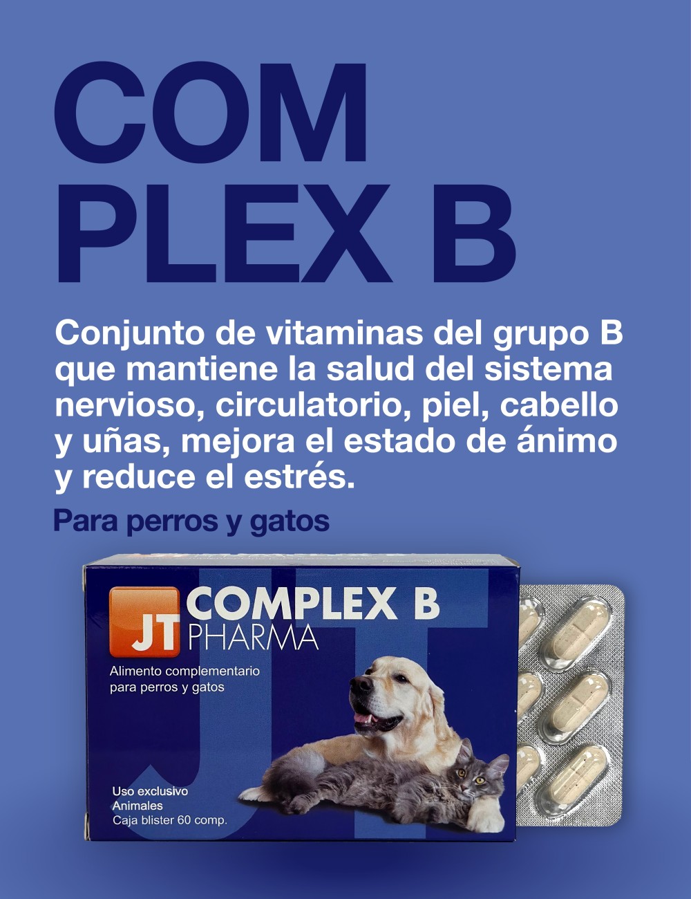 MULTIVITAMÍNICO COMPLEX B 60CP JTPHARMA