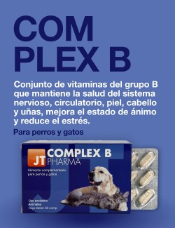 MULTIVITAMÍNICO COMPLEX B 60CP JTPHARMA