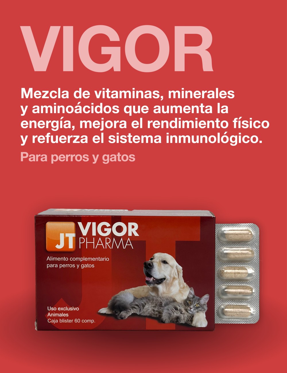 VITAMÍNICO VIGOR PHARMA 60CP JTPHARMA