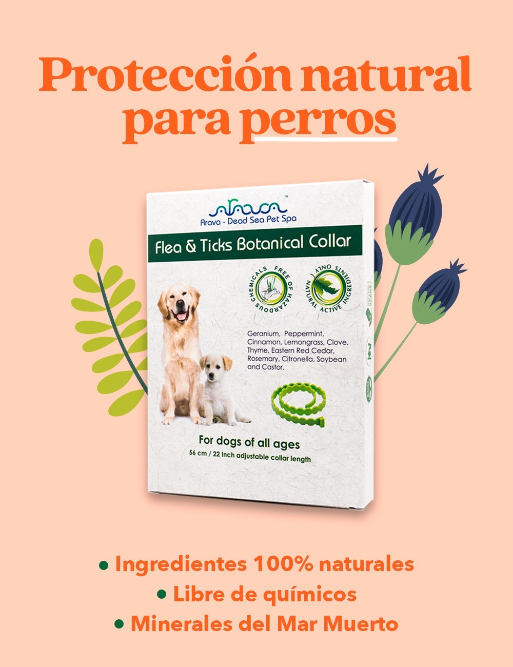 ARAVA COLLAR ANTIPULGAS Y GARRAPATAS 100 NATURAL PARA PERRO