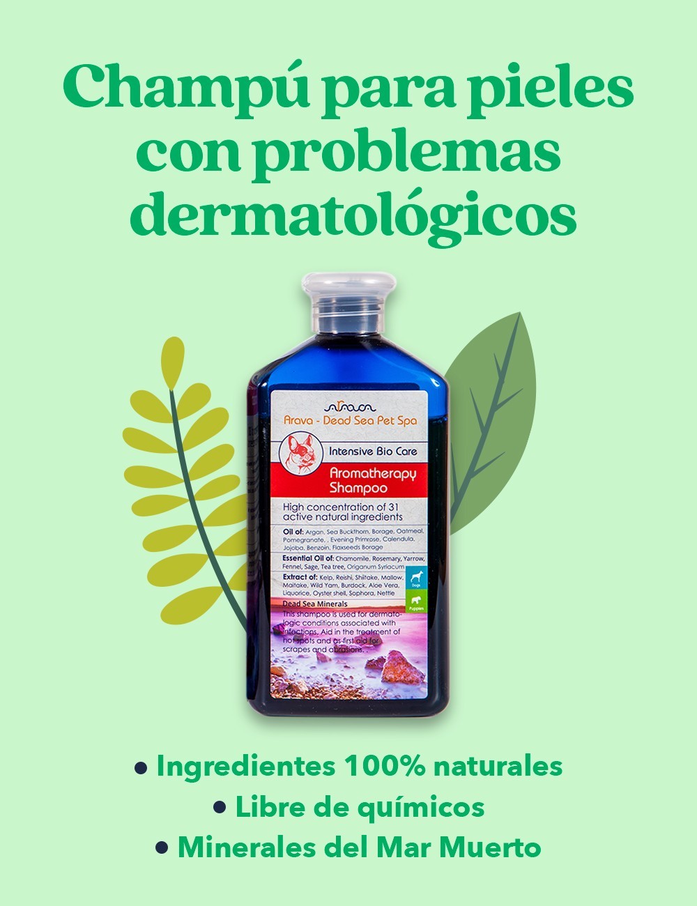 ARAVA CHAMPÚ DE AROMATERAPIA PARA PIELES SENSIBLE 400ML