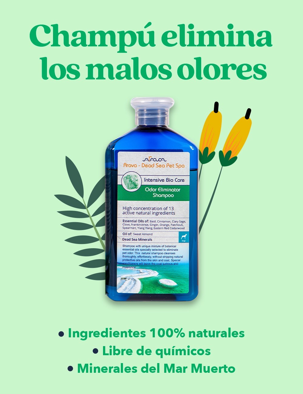 ARAVA CHAMPÚ ELIMINADOR DE OLORES 400ML