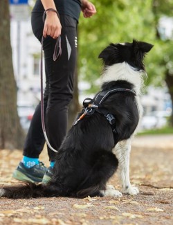 NON-STOP DOGWEAR LINE HARNESS 5.0 NEGRO