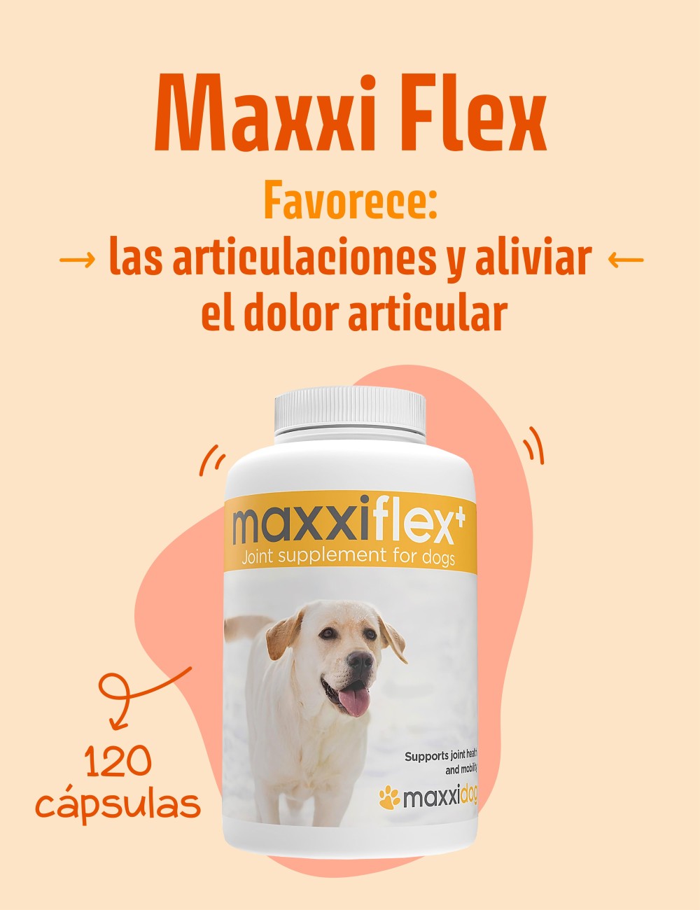 MAXXIFLEX 120UDS