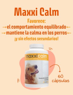 MAXXICALM PARA PERROS 60UDS