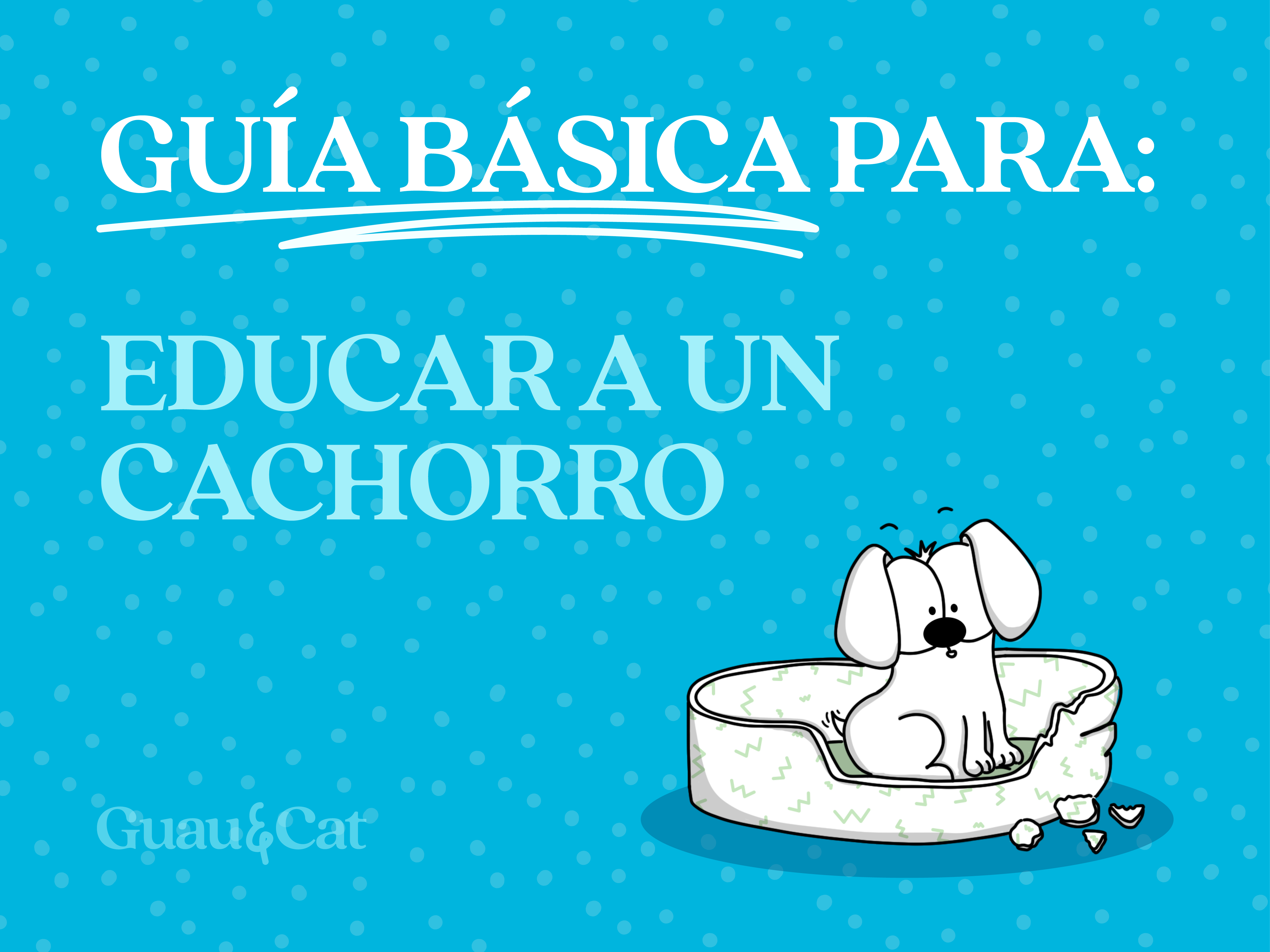 Cómo educar un cachorro