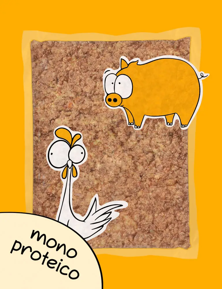 Pollo y Cerdo