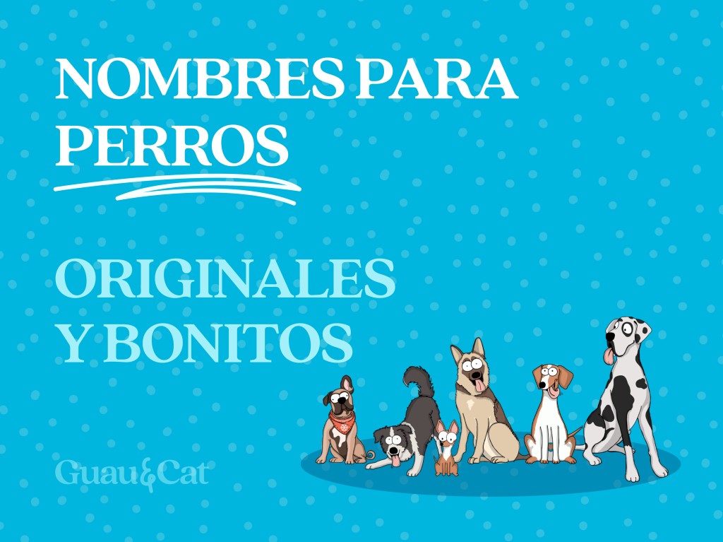 Nombres para perros