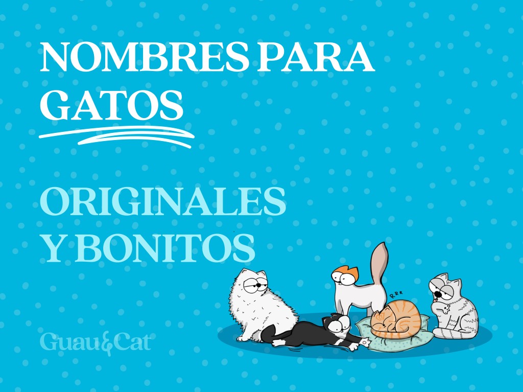 Nombres para gatos