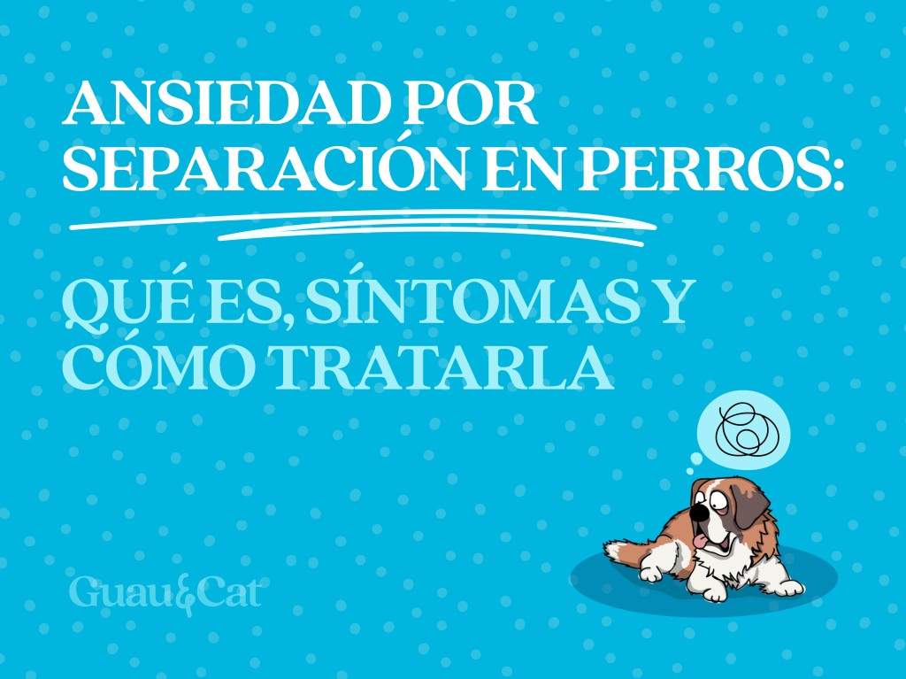 Ansiedad por separación en perros: qué es y por qué ocurre