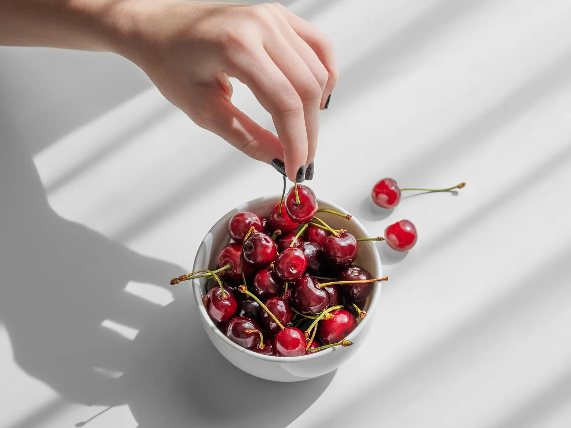 ¿Los perros pueden comer cerezas?