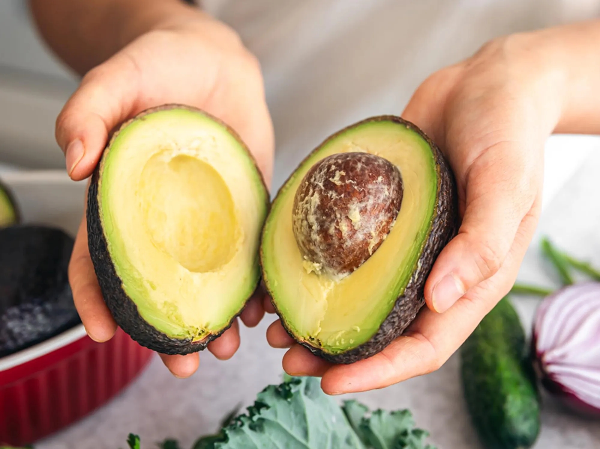 ¿Los perros pueden comer aguacate? Riesgos y cantidad segura
