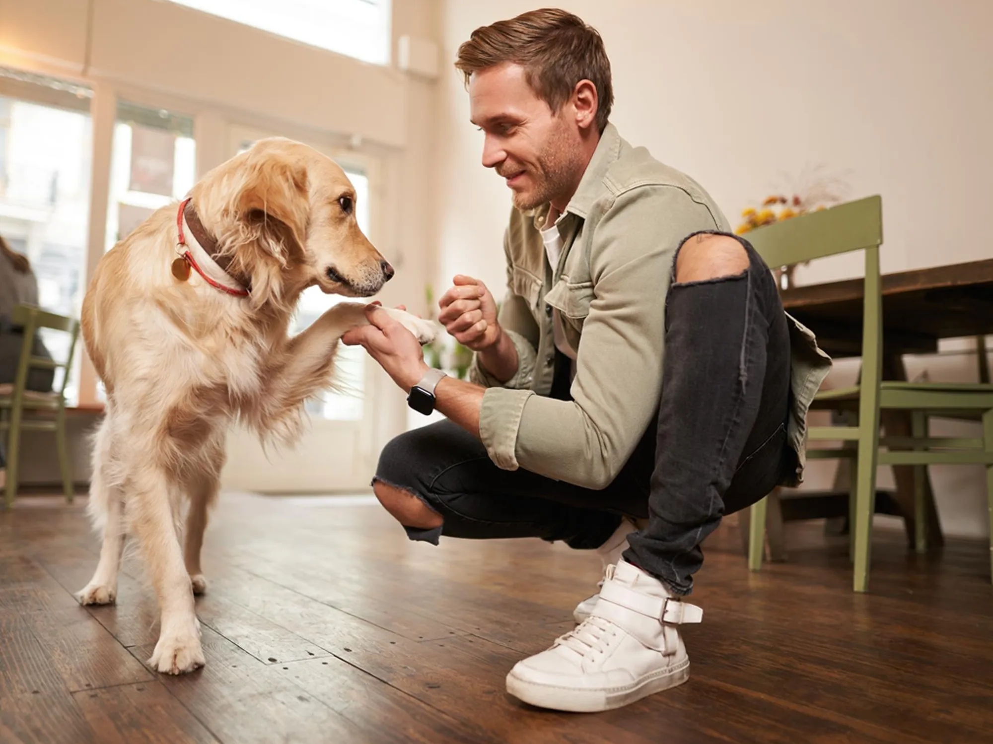 Como adiestrar a un perro