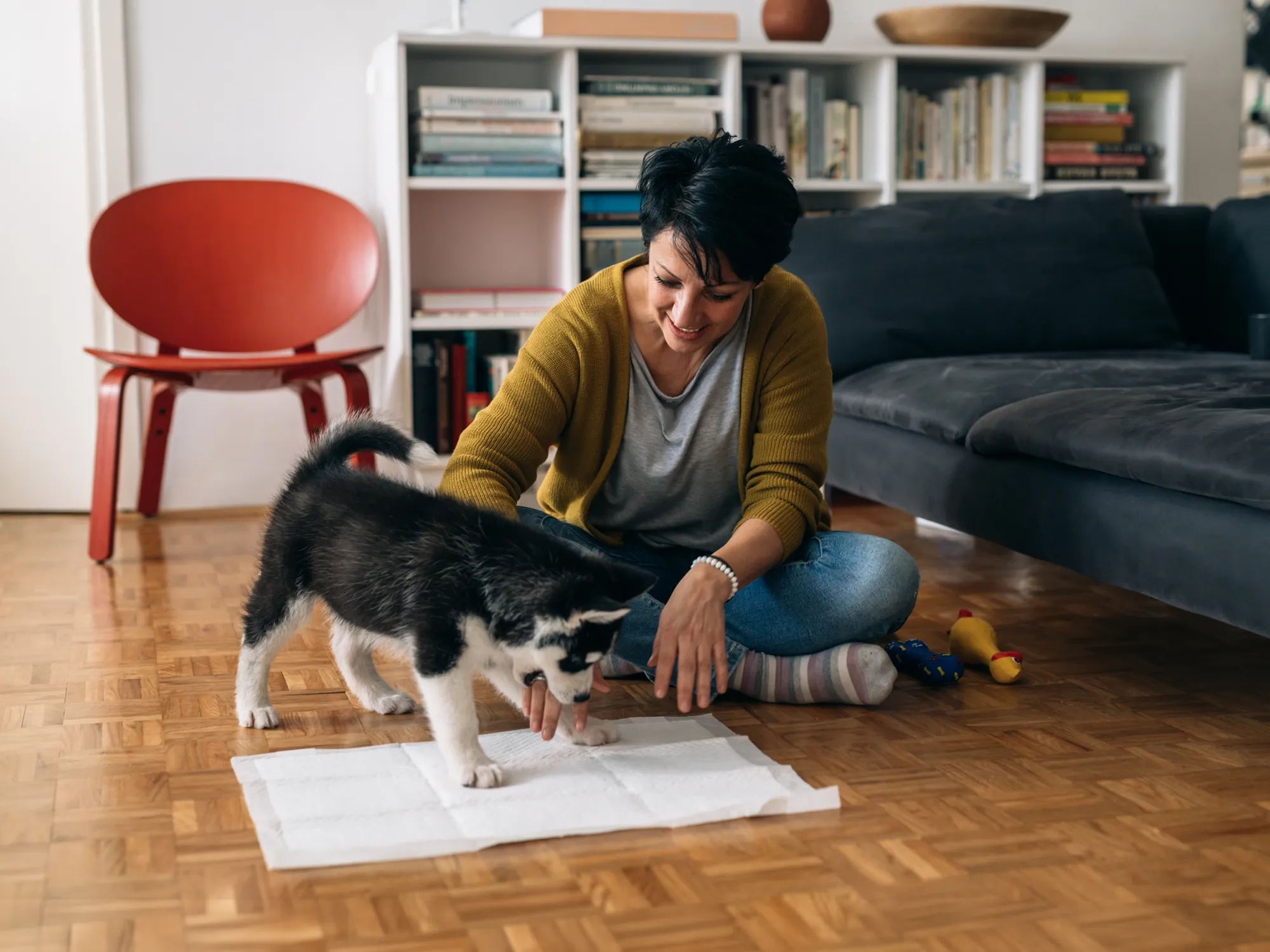 Cómo enseñar a un cachorro a hacer sus necesidades en el empapador