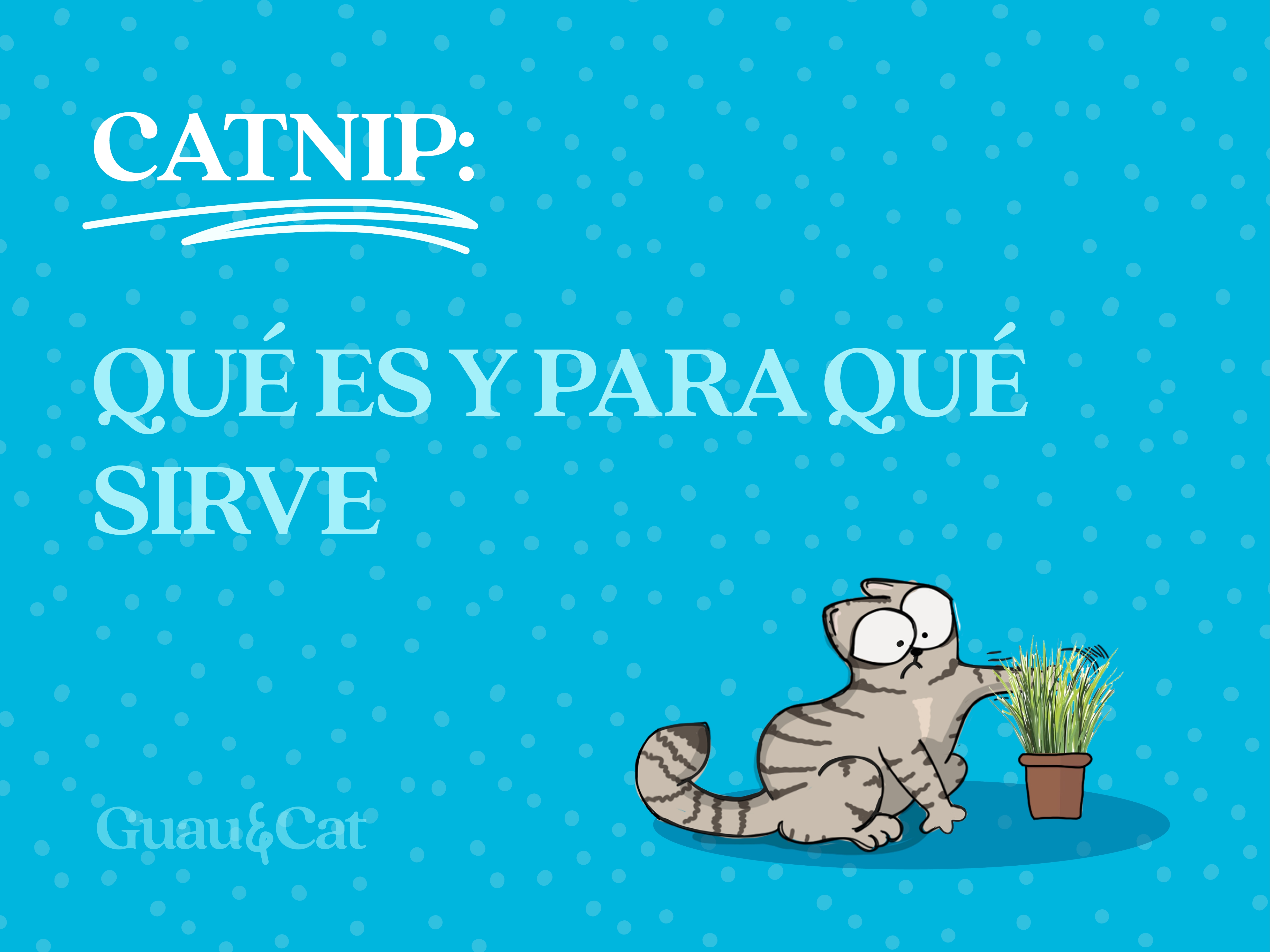 Catnip