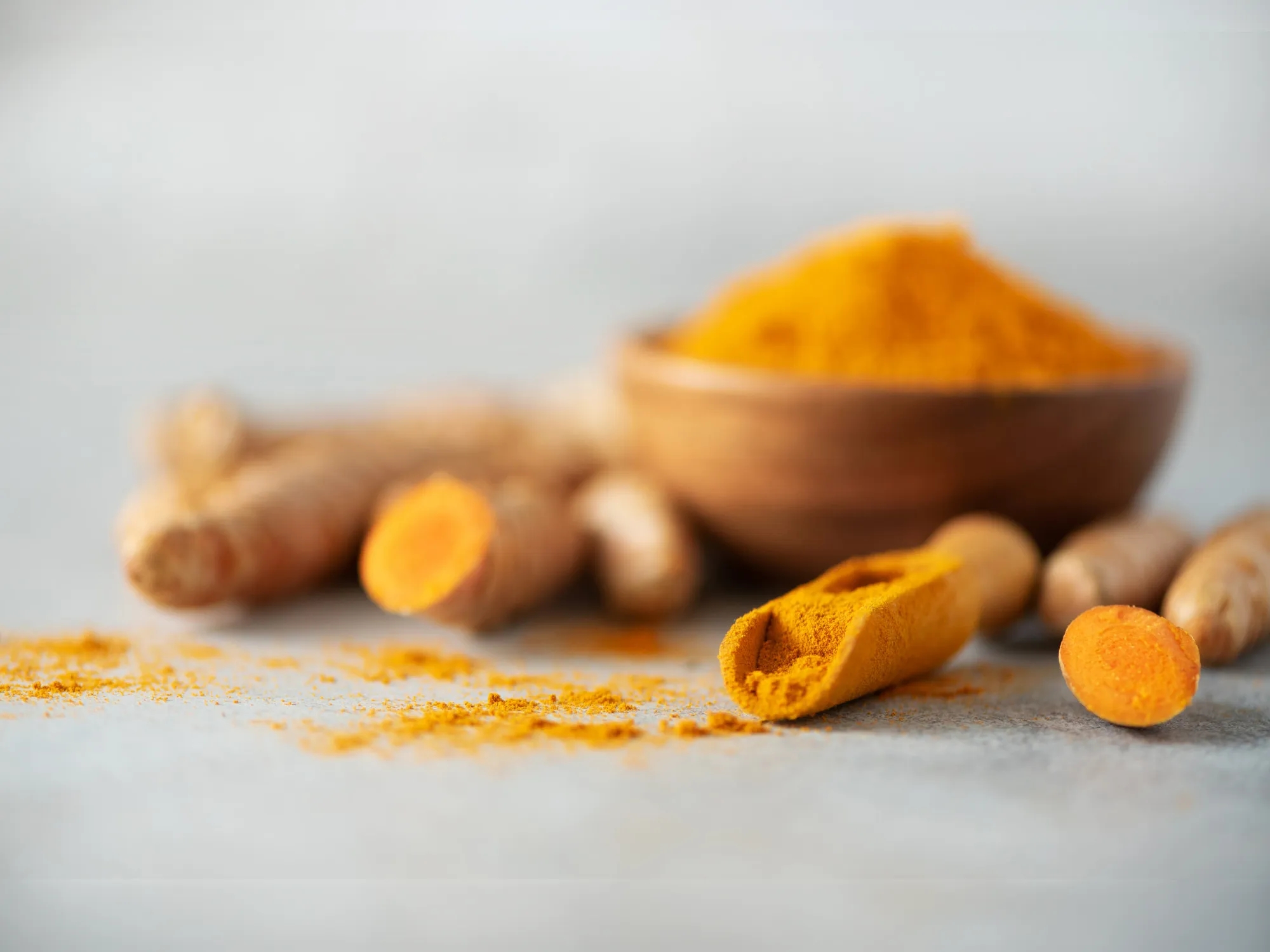 ¿Los perros pueden comer cúrcuma?