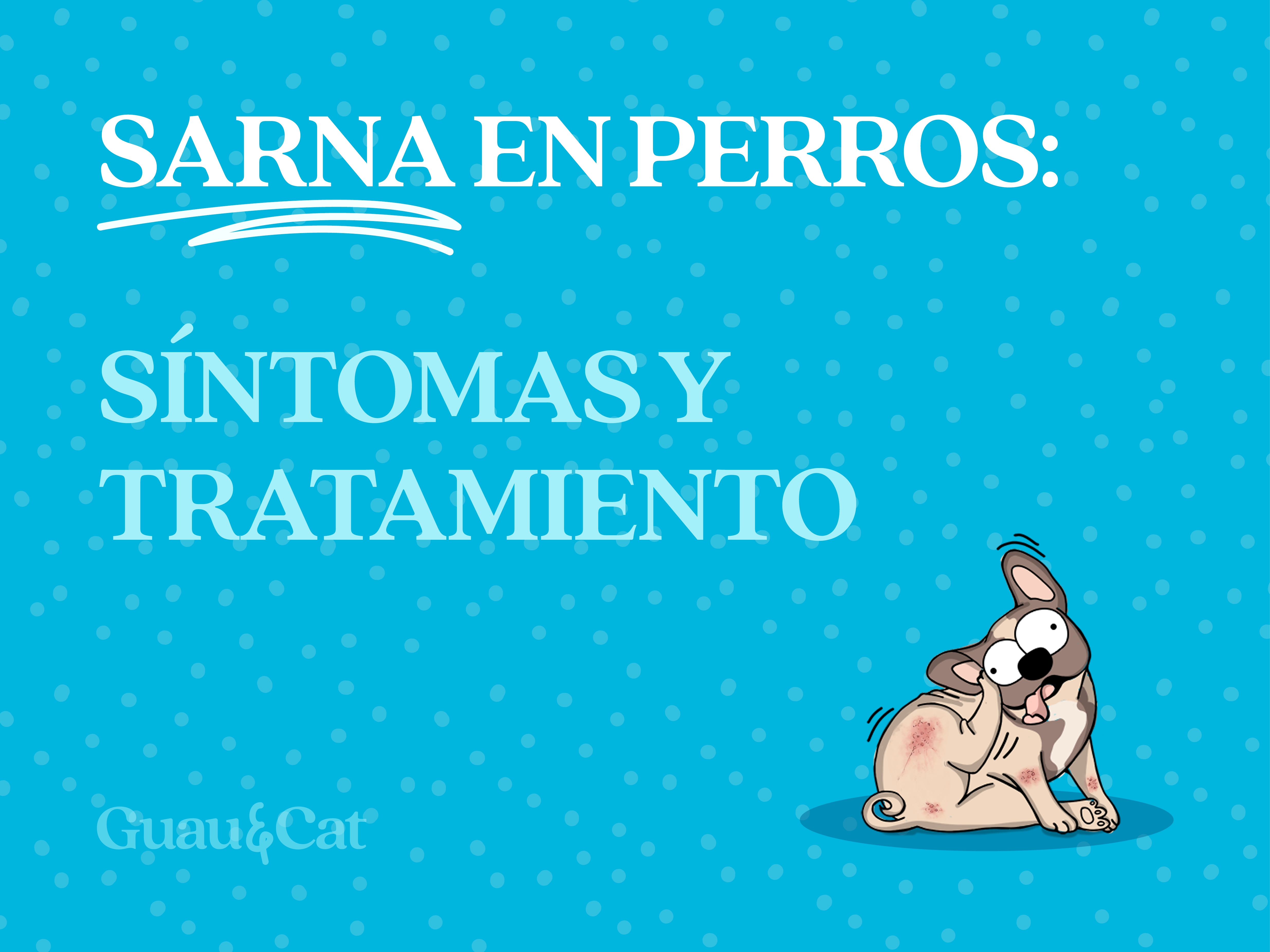 Sarna en perros