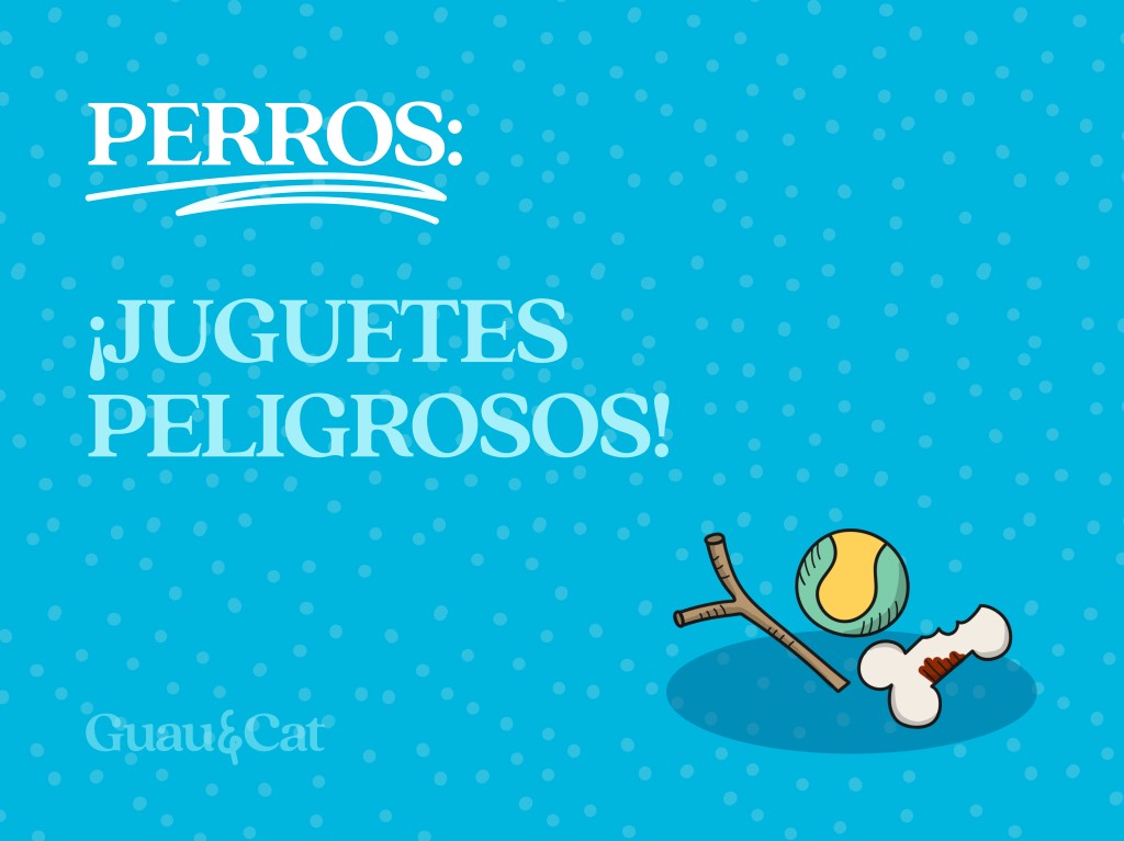 Juguetes peligrosos para perros