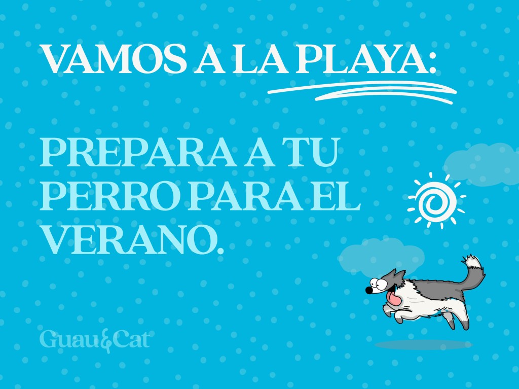 Consejos para ir con tu perro a la playa
