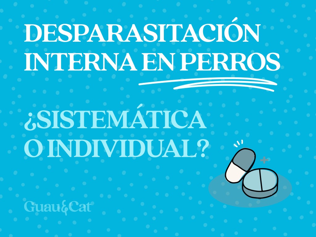 Desparasitación interna en perros: ¿es necesaria siempre o debe individualizarse