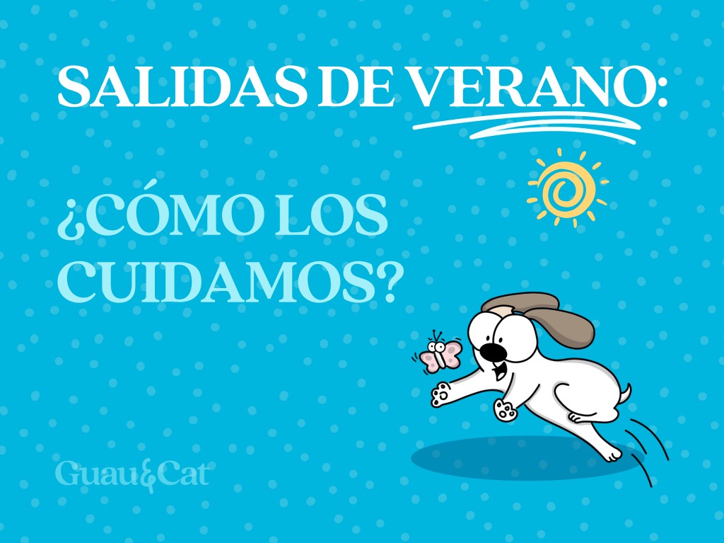 ¡Salidas en verano! ¿Cómo los cuidamos?